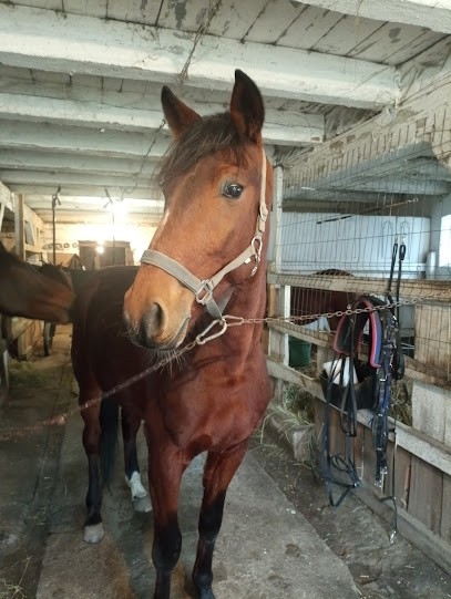 Hebert Jacky, Maçon à Manneville-la-Pipard