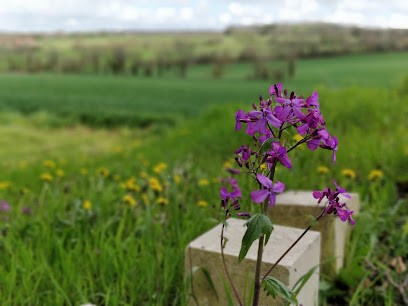 Cox Richard, Maçon à Verteillac