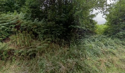 Daligault David, Maçon à Romagny Fontenay