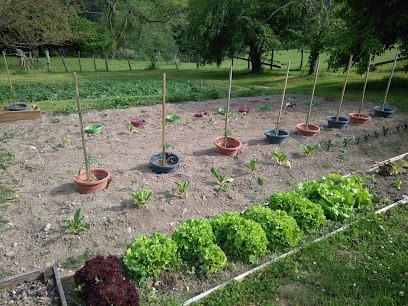 GONNACHON Et Fils, Maçon à Cours