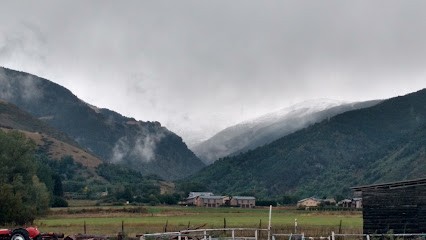 Tarizzo Bernard, Maçon à Err