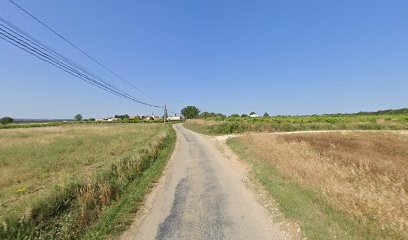 Gout Luc, Maçon à Garrigues-Sainte-Eulalie