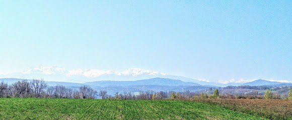 Biard Michel, Maçon à Tourtrol