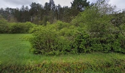 Germain Jean-Baptiste, Maçon à Montillot