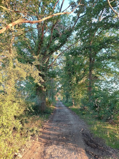 Beaufils, Maçon à Coulandon