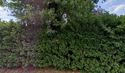 Poguet Gilles, Maçon à Drumettaz-Clarafond