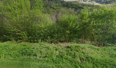 Entreprise Générale Du Vicdessos, Maçon à Auzat