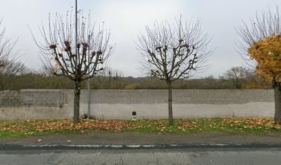 BERNARD Anthony Sarl, Maçon à Chantonnay