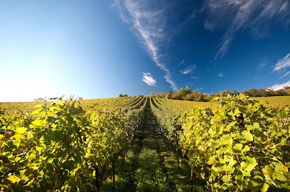 TRADI CAVE | Bourgogne Construction, Maçon à Merry-sur-Yonne