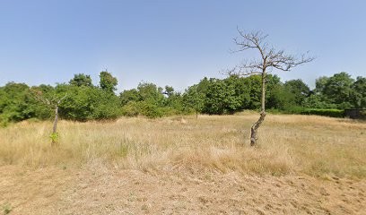 Invernizzi Frères, Maçon à Alixan