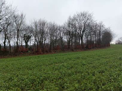 Gérault Teddy, Maçon à Tinchebray-Bocage