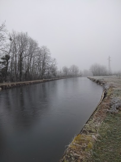 Levite SAS, Maçon à Molinet