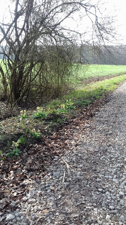 Fidel Entreprise, Maçon à Lorentzen
