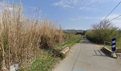 Andreoletti Jean-Michel, Maçon à Cavaillon