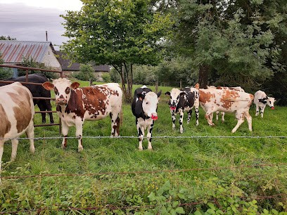 Fromont Vincent Raymond, Maçon à Magny-le-Désert