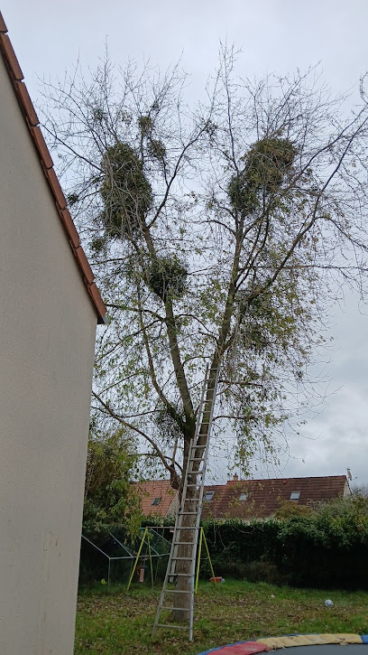 Entreprise Guerin, Maçon à Bray-Saint-Aignan