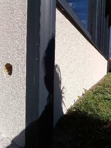 PRO RENO BAT, Maçon à La Roche-sur-Foron