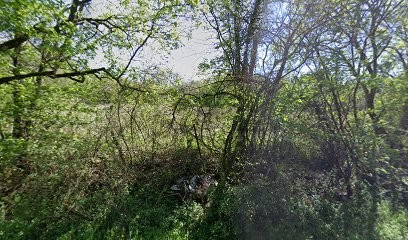 Lembo Sarl, Maçon à Dole