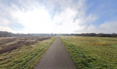 Massicard et Fils, Maçon à Dhuizon