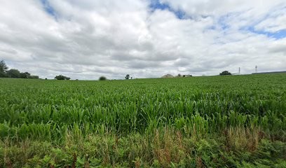 Dos Santos Mickael, Maçon à Treffléan