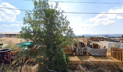 Soumaille David, Maçon à Revest-du-Bion