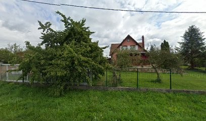 Brehm Sacha, Maçon à Rexingen