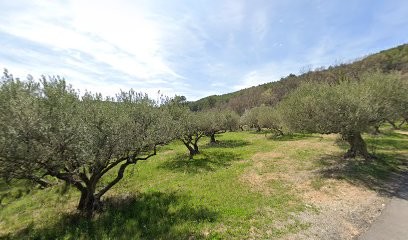 Simonetta Christophe, Maçon à Salernes