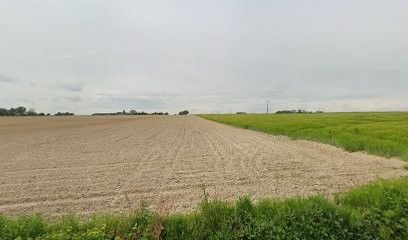 Vasseur Renovation, Maçon aux Hermites