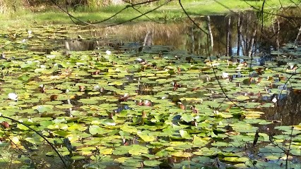 Bernard Brignon, Maçon à Brignon