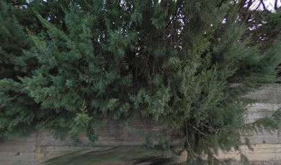 Saut Michel, Maçon à Laudun-l'Ardoise