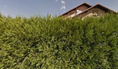 Schaeffer Alain, Maçon à Oberstinzel