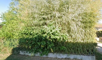 Loup Pascal, Maçon à Saint-Didier-sur-Chalaronne