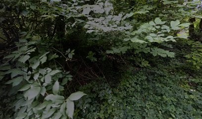 Thorel et Fils, Maçon à Roncherolles-sur-le-Vivier