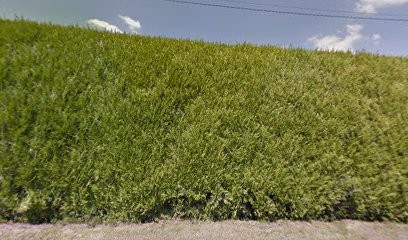 Bourré Patrice, Maçon à Dhuizon