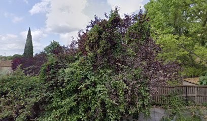 Gomez Francois, Maçon à Tressan