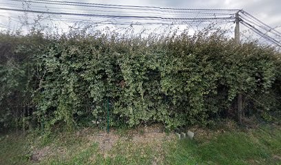 Veres Paul, Maçon au Pradet