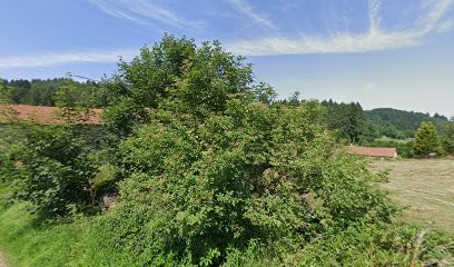 M.MULTI SERVICES, Maçon à Saint-Didier-en-Velay